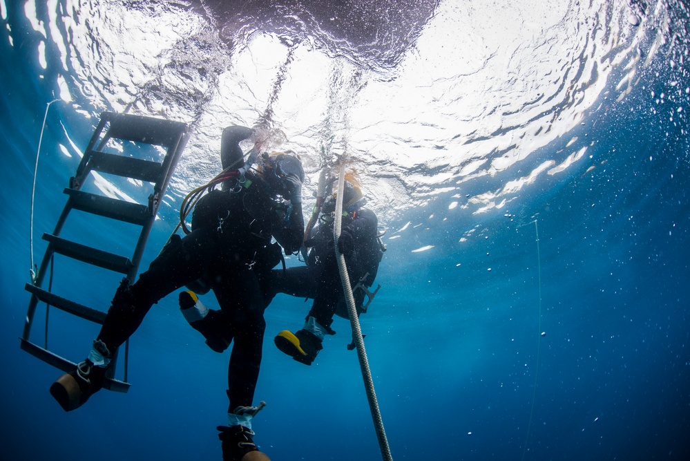 UCT Diver Training 2015