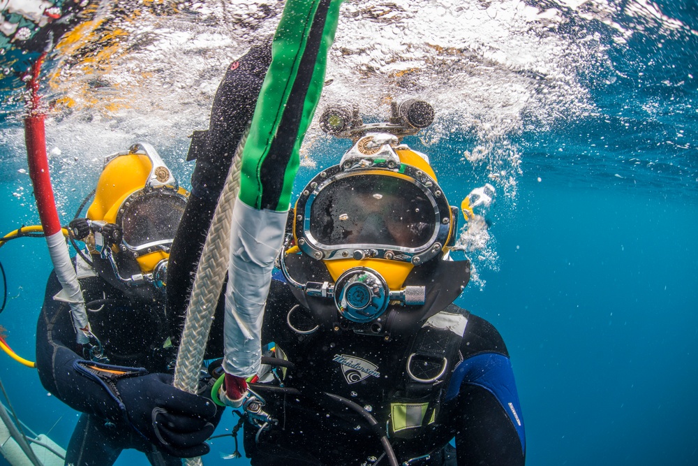 UCT Diver Training 2015