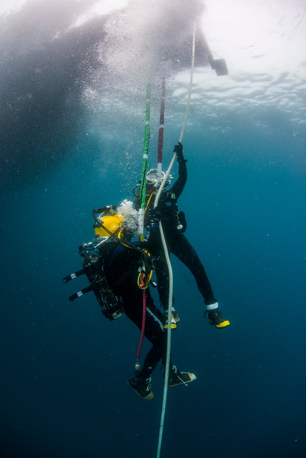 UCT Diver Training 2015