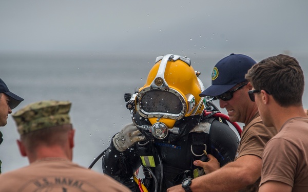 UCT Diver Training 2015