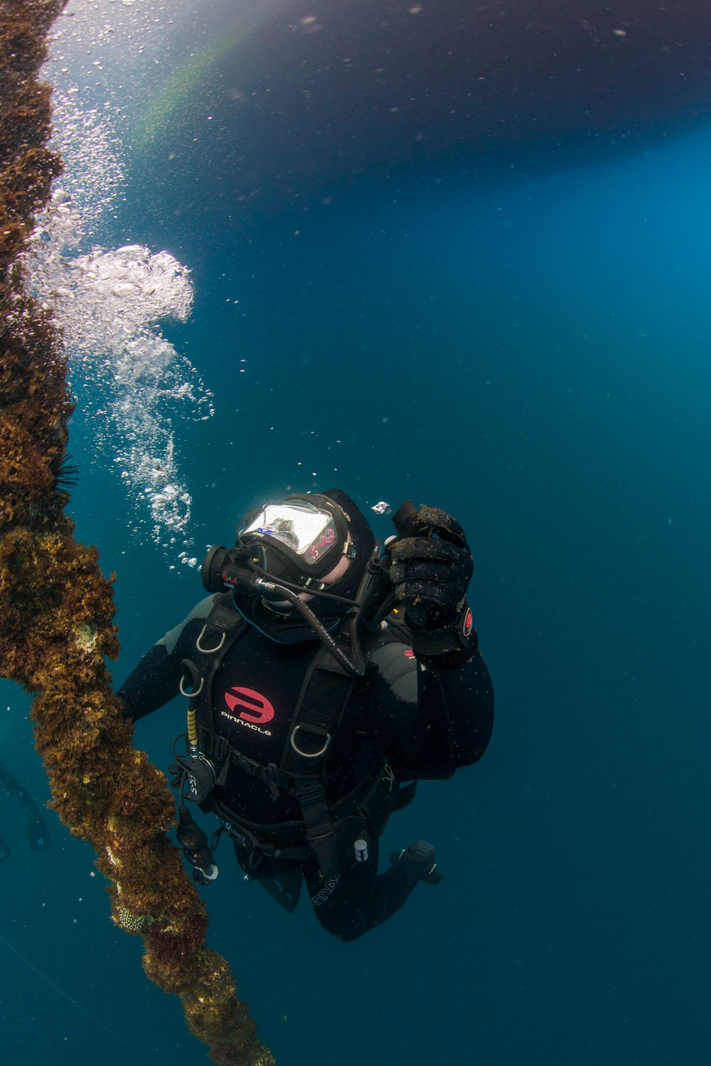 UCT Diver Training 2015