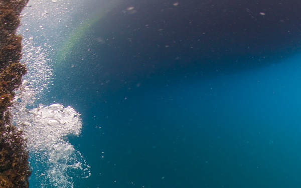 UCT Diver Training 2015