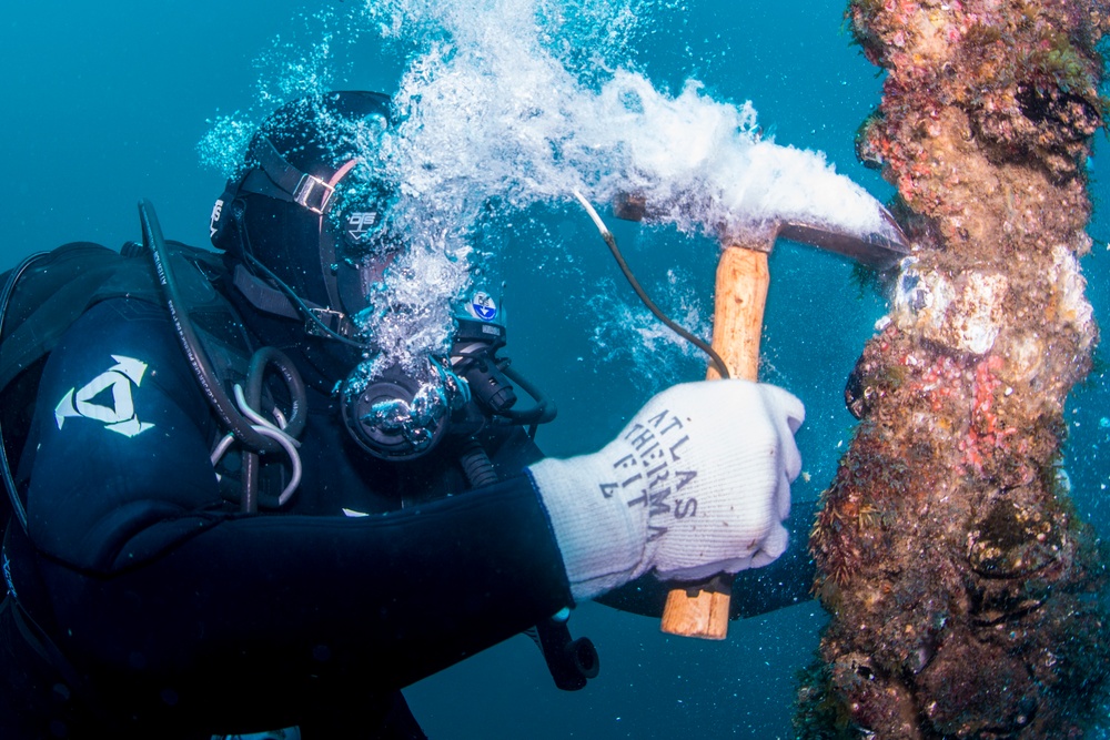 UCT Diver Training 2015