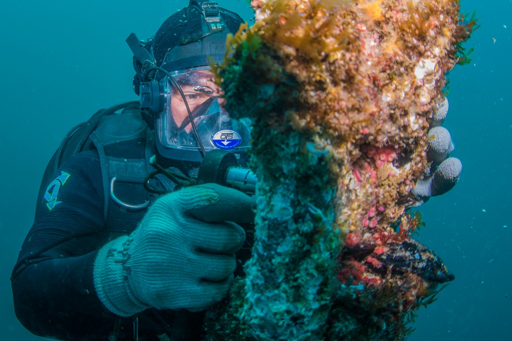 UCT Diver Training 2015