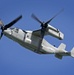 Talisman Sabre 15