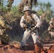Talisman Sabre 15