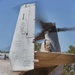 Talisman Sabre 15