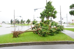 Commonly asked questions during typhoons