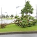 Commonly asked questions during typhoons