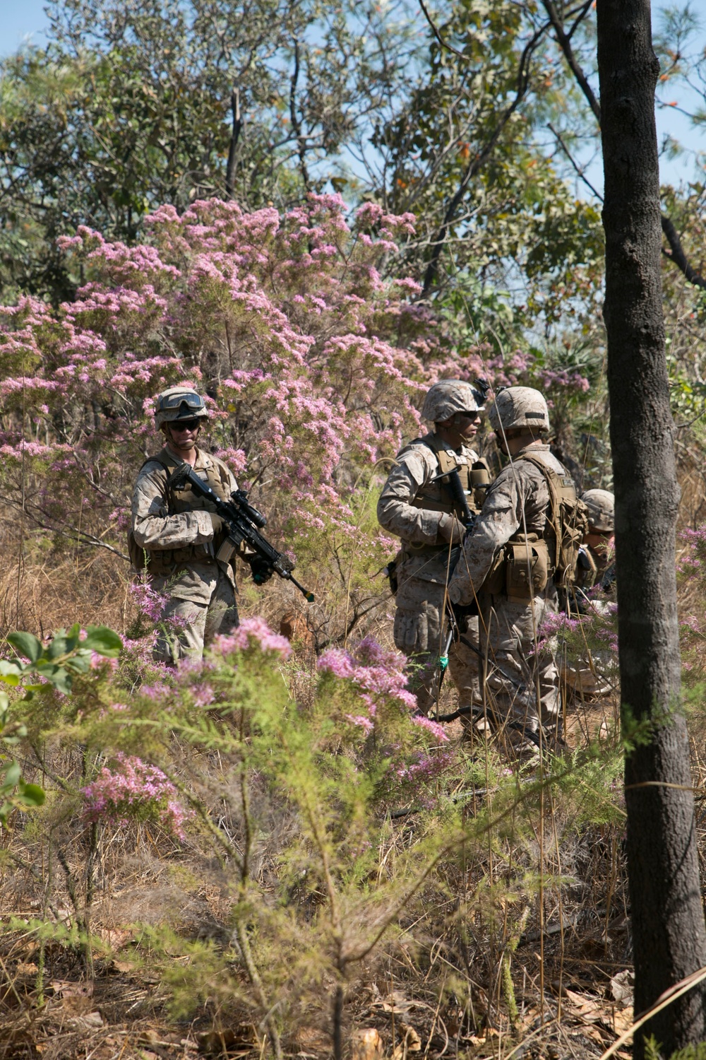 U.S. Marines, Australians conduct amphibious assault for Talisman Sabre 2015