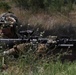 NATO Allies tackle Platinum Lion final exercise