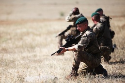 NATO Allies tackle Platinum Lion final exercise