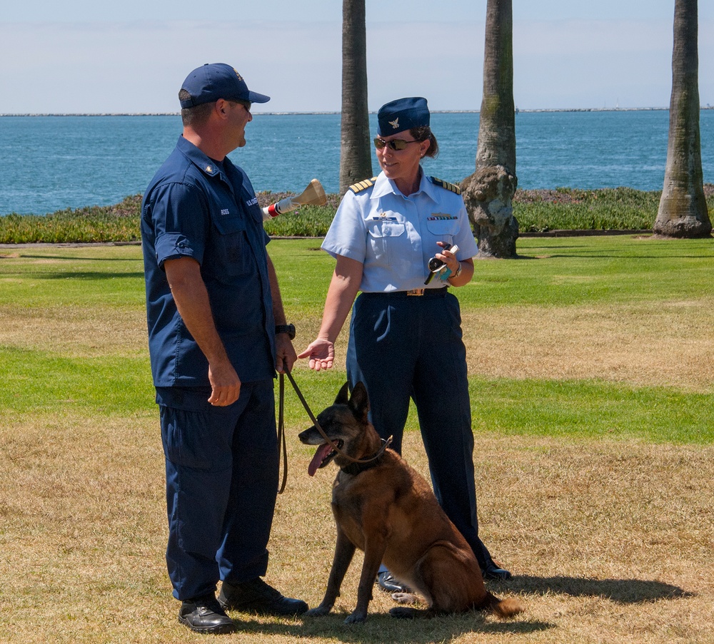 Coast Guard K-9 Chiquita retires as senior chief petty officer