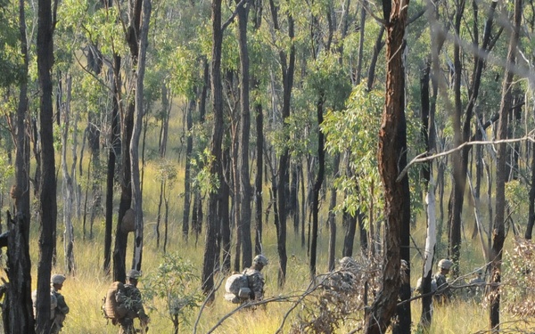 Moving through the bush