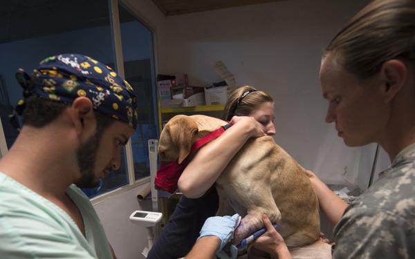 Continuing Promise 2015