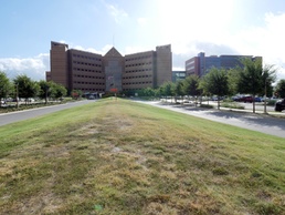 SAMMC earns fourth 'Most Wired'