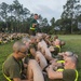 Marine recruits take initial strength test to begin training on Parris Island