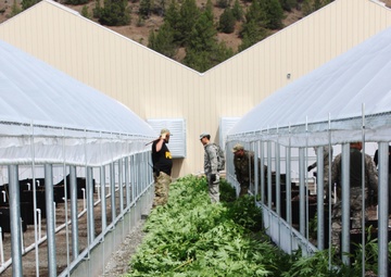 BIA and DEA request support from the Counterdrug Task Force