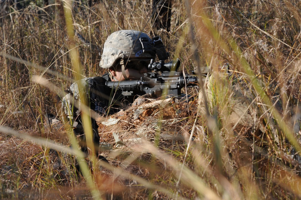 DVIDS - Images - 2-27th Infantry Regiment at Shoalwater Bay Training ...