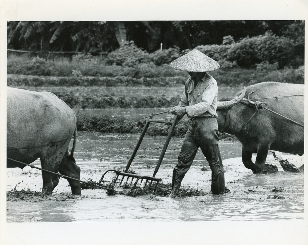 Agriculture
