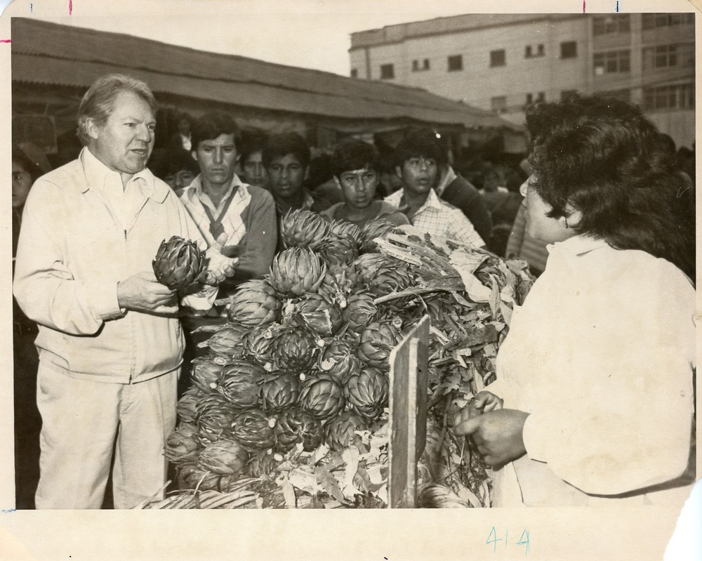 Investigating Lima's Wholesale Market