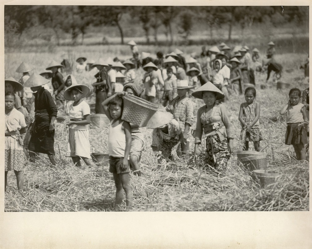 Harvesting crops