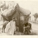 Cattle pulling tent
