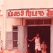 Sacred cow in front of a storefront