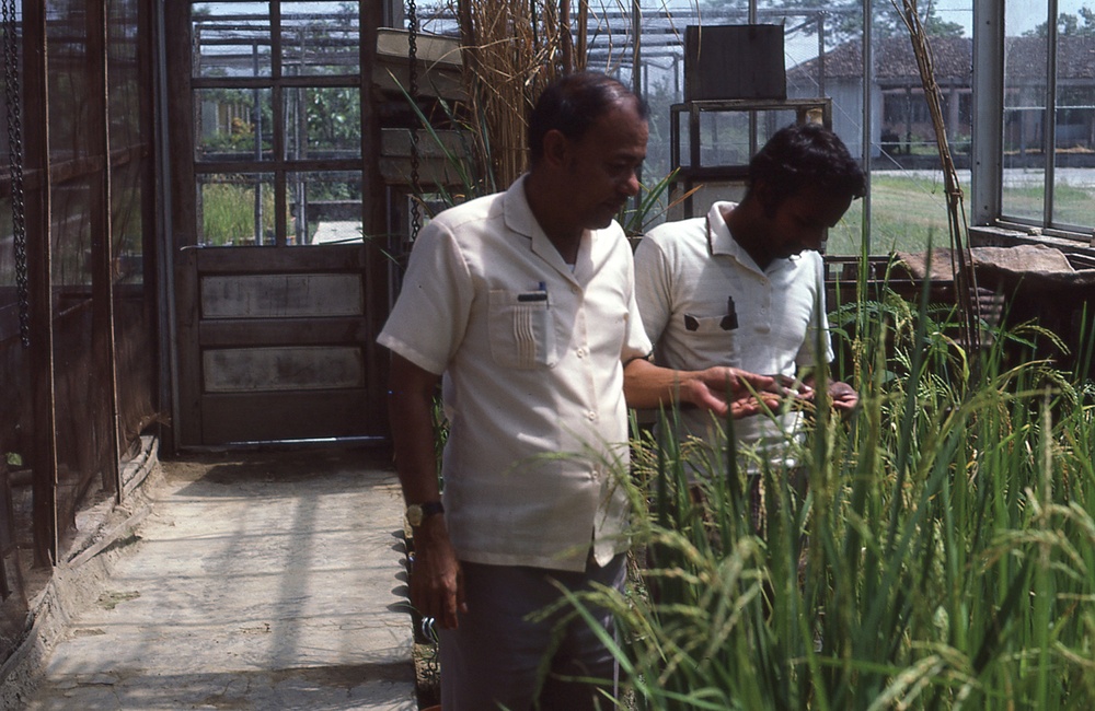 Examining crops