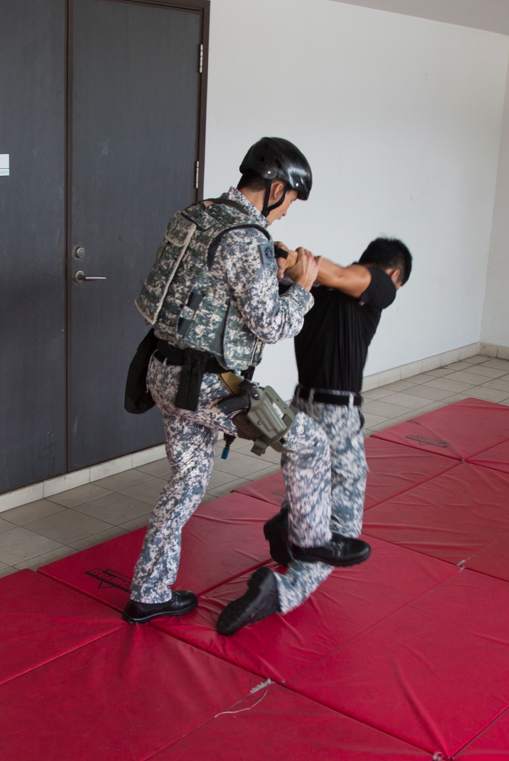 U.S., Singapore Armed Forces swap hand to hand combat training