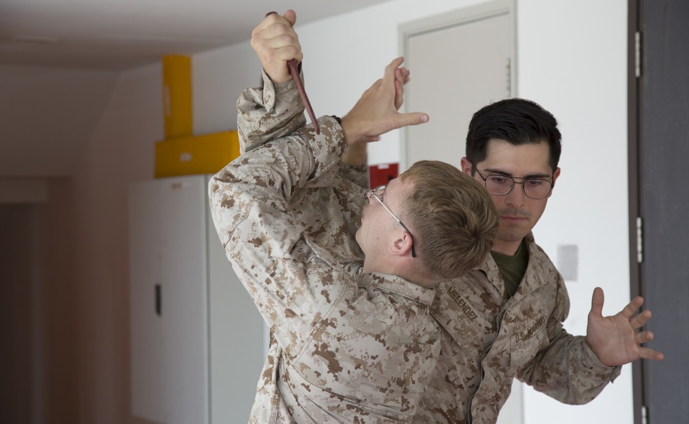 U.S., Singapore Armed Forces swap hand to hand combat training