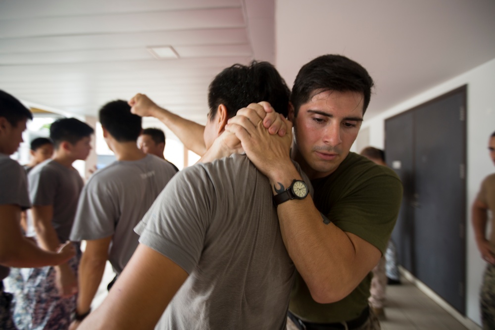 Exercise CARAT 2015 Hand to Hand Combat Training