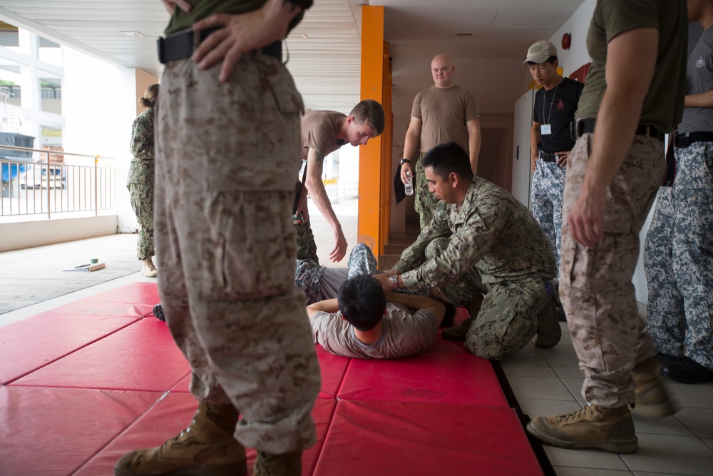 Exercise CARAT 2015 Hand to Hand Combat Training