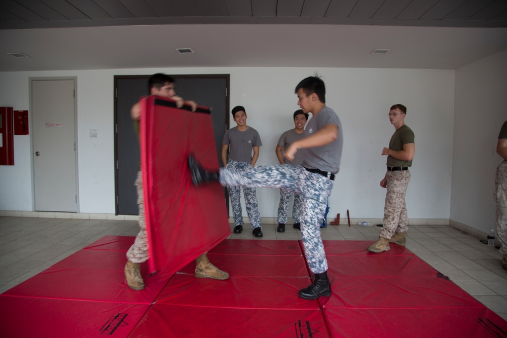 Exercise CARAT 2015 Hand to Hand Combat Training