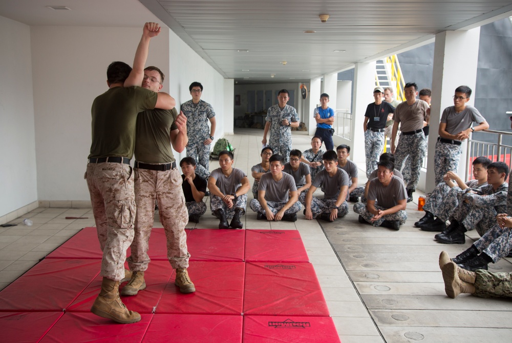 DVIDS - Images - Exercise CARAT 2015 Hand to Hand Combat Training ...