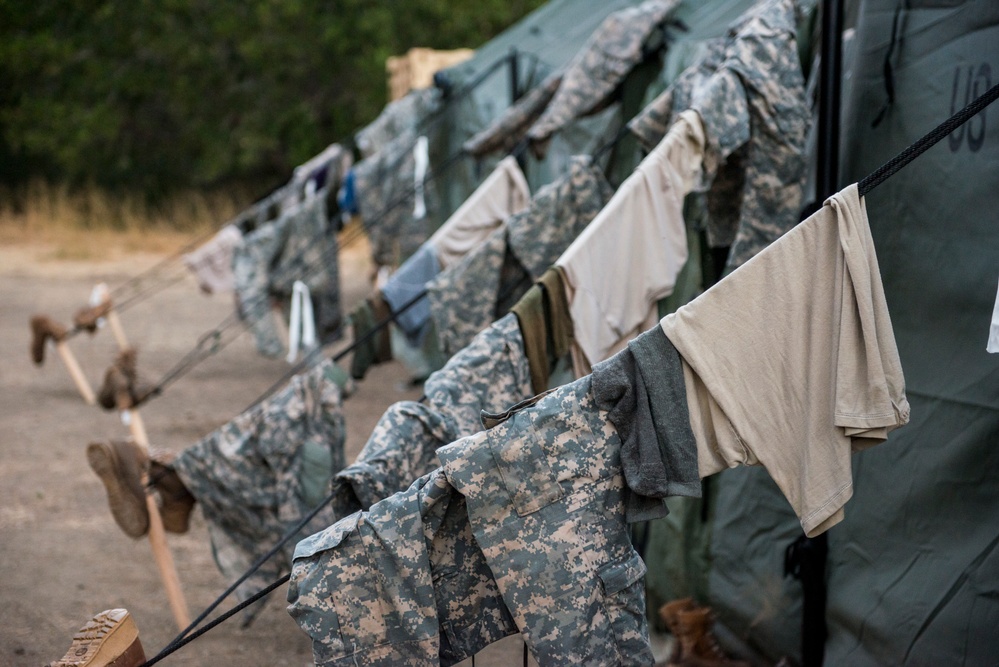 Combat engineers don't tread lightly Combat engineers don't tread lightly