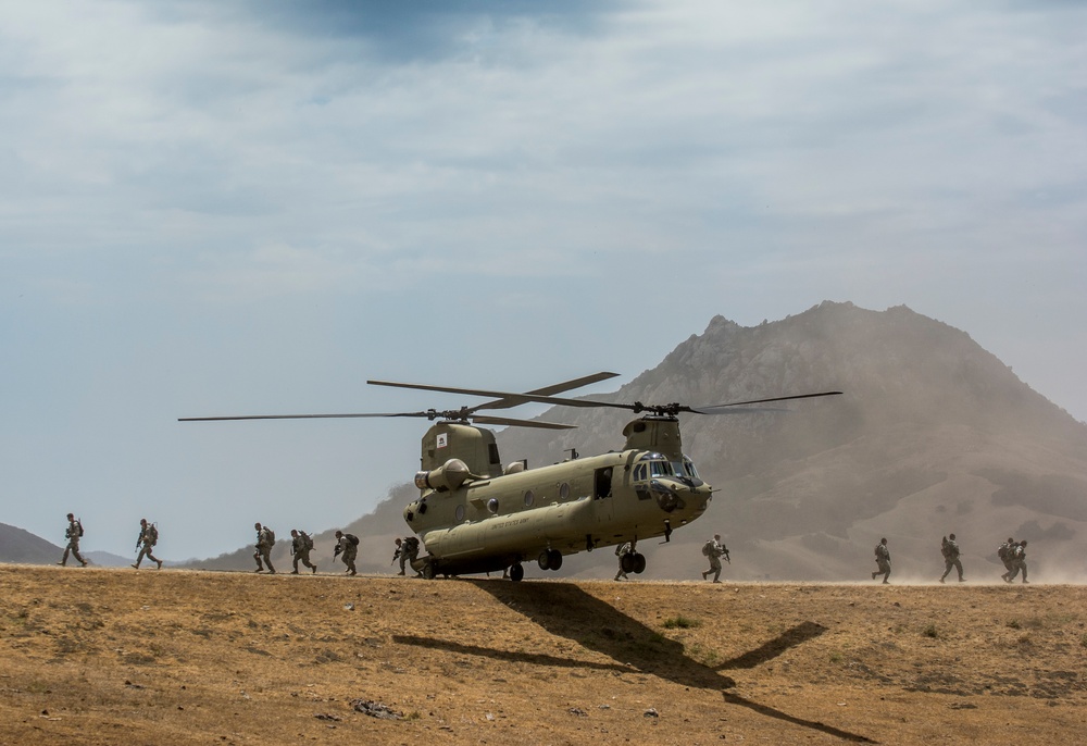 Combat engineers conduct air assault, patrol training