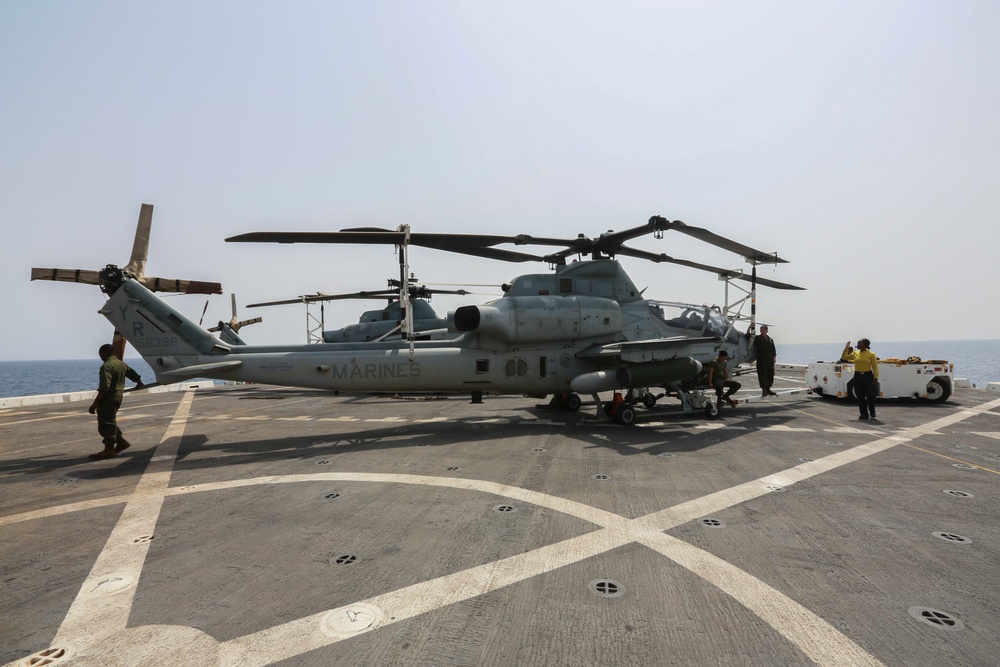 Greyhawks keep the Vipers up