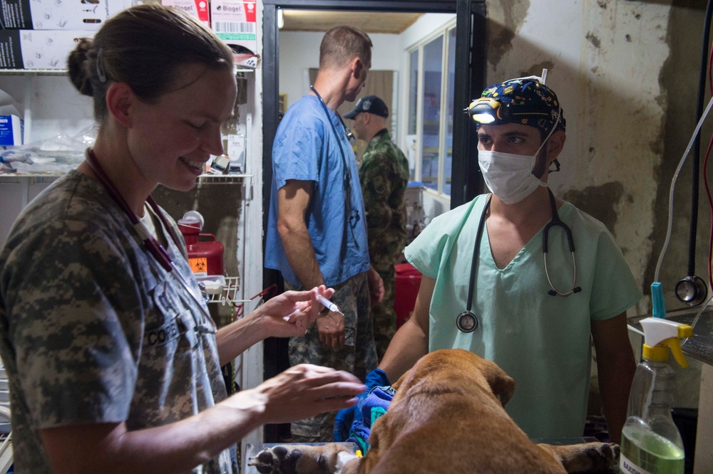 Continuing Promise 2015