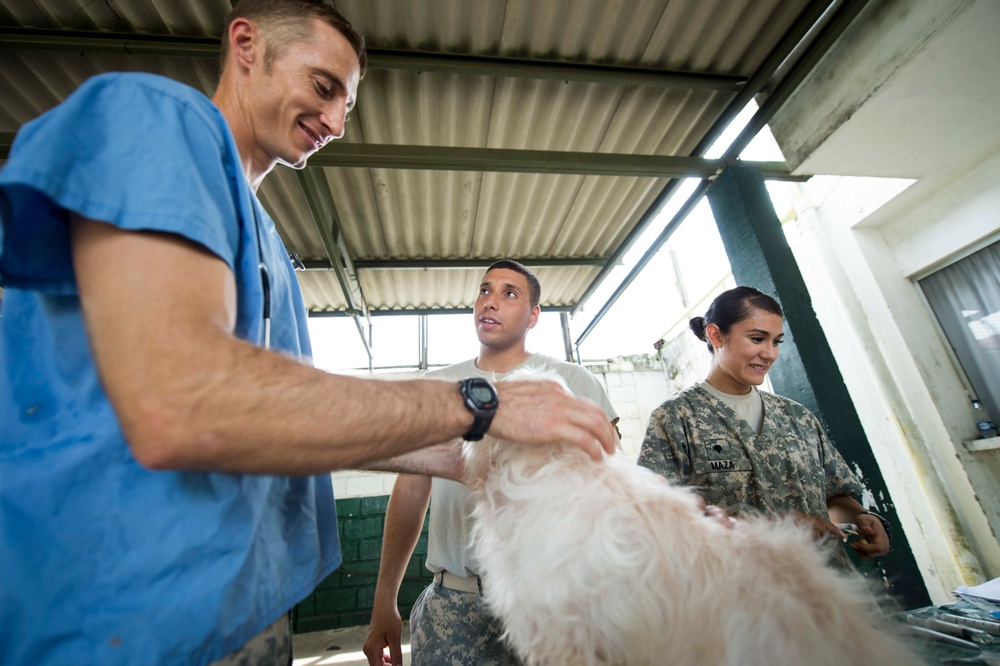 Continuing Promise 2015