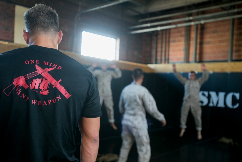 Marines push limits, train to become Martial Arts Instructors