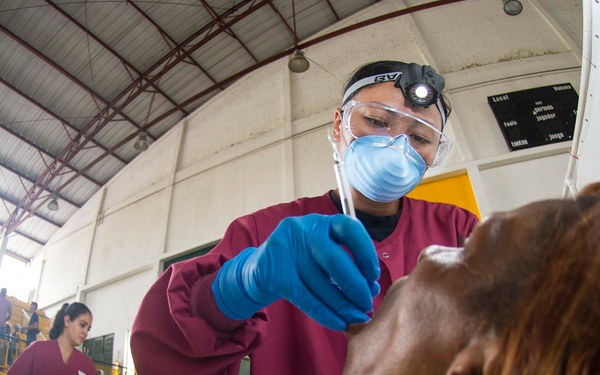 Continuing Promise 2015