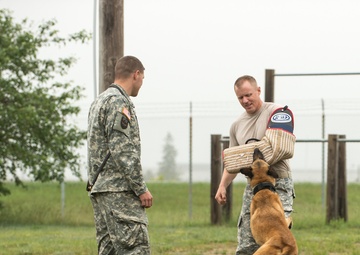 Not just any old dog show