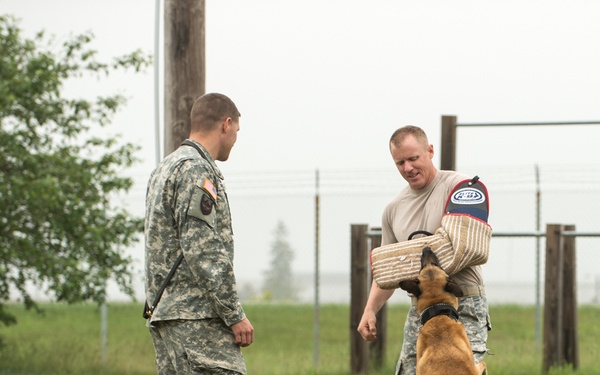 Not just any old dog show