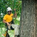 Volunteers work during the National Association of Landscape Professionals’ 19th annual Renewal and Remembrance at Arlington National Cemetery