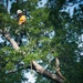 Volunteers work during the National Association of Landscape Professionals’ 19th annual Renewal and Remembrance at Arlington National Cemetery