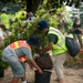 Volunteers work during the National Association of Landscape Professionals’ 19th annual Renewal and Remembrance at Arlington National Cemetery