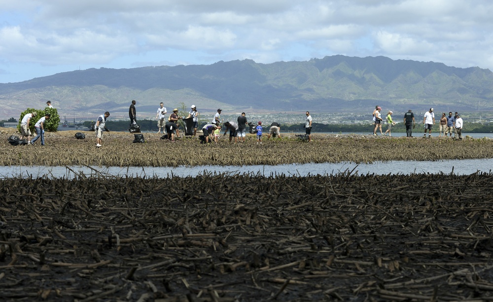 Sailors assist in a cleanup at the ancient fishpond, Loko Pa’aiau, on Oahu