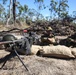 Talisman Sabre 15