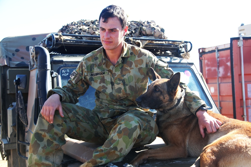 Talisman Sabre 15